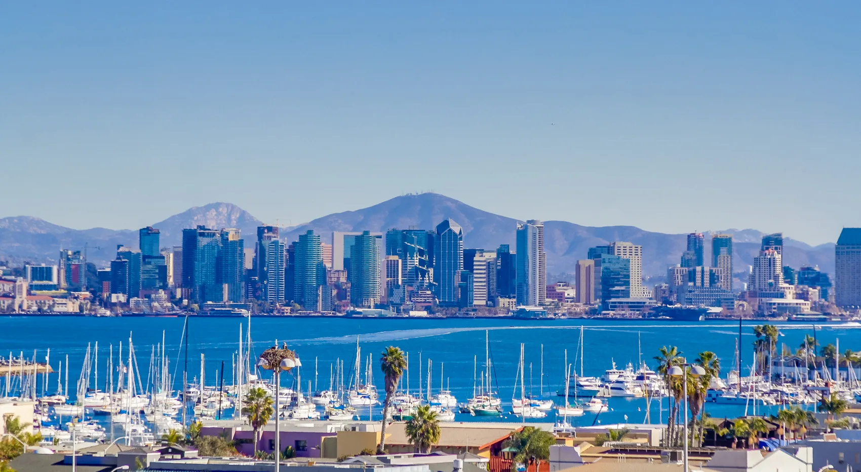 San Diego skyline and bay